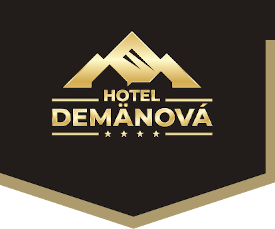 logo hotel demänova