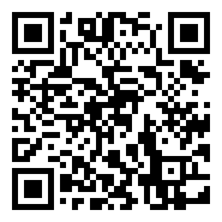 Papaya POS Product Offer - QR